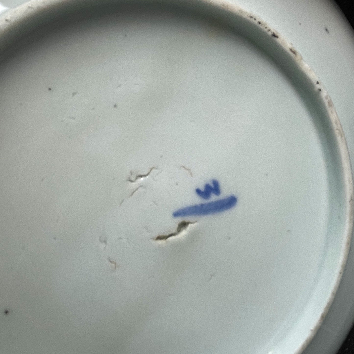 Handbeschilderde Chinese porseleinen schaal met blauwe vis