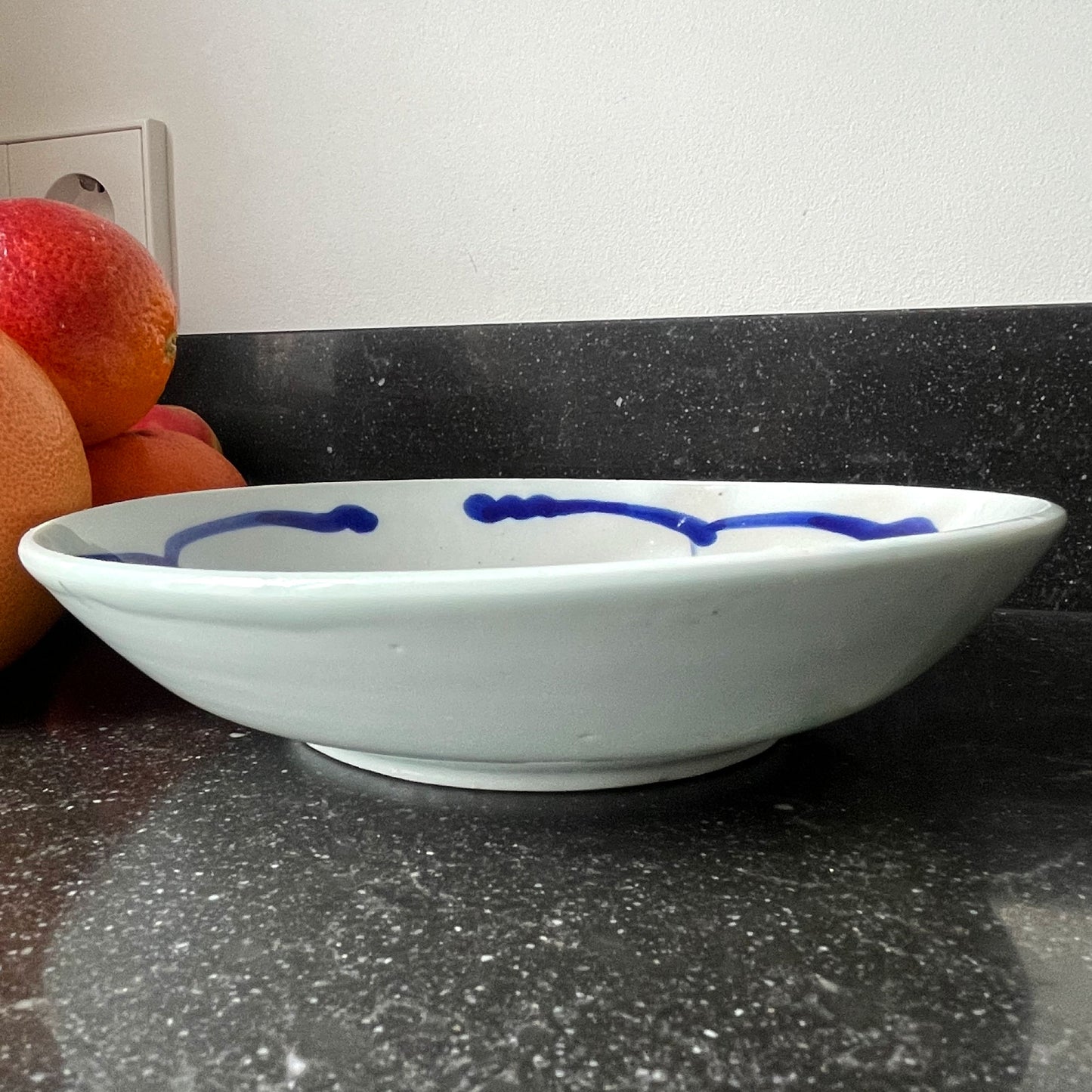 Handbeschilderde Chinese porseleinen schaal met blauwe vis